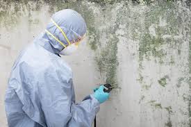 Mold Removal for HVAC Installations